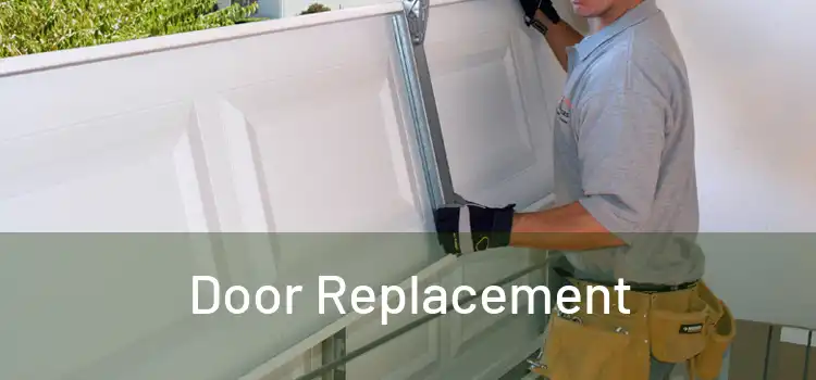  Door Replacement 